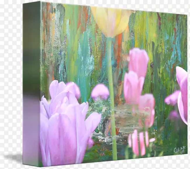 �����㻨���ɿ�������������-������