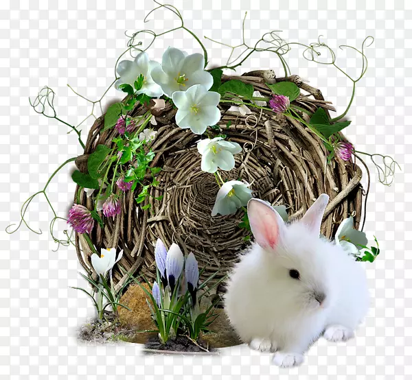 ���������-�ɰ�������-������