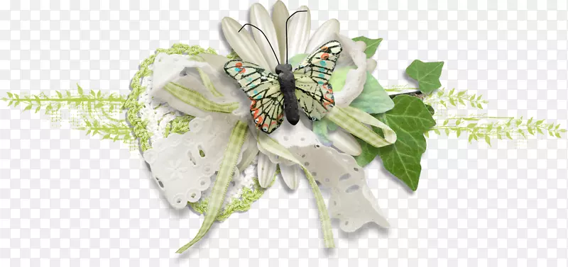 ��������л�����-������