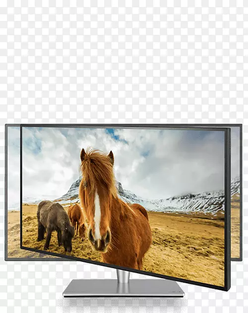 ������ʾ��srgb ips���asusͼ����ʾ�ֱ���-������