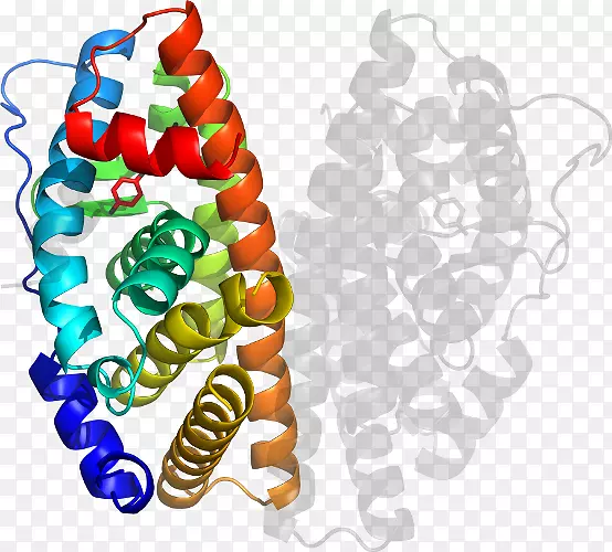 �����鱦�л��������.�鱦-������