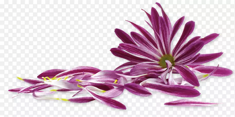 ���е����ʼ�-Fotolia��վ-������