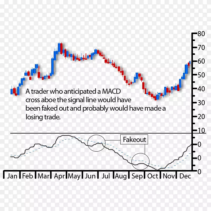 �ߵ��������-������