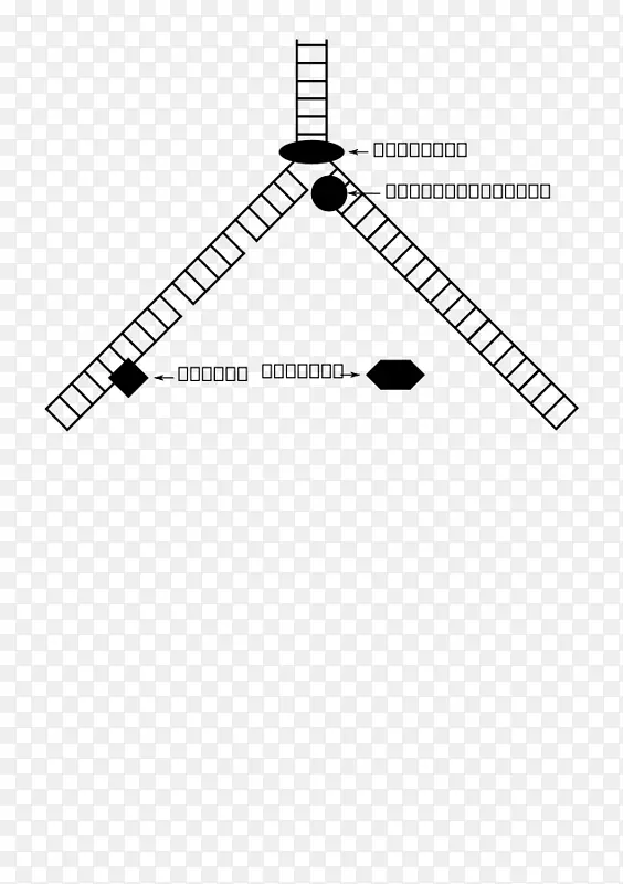 ƽ����ƽ�Բ���-������