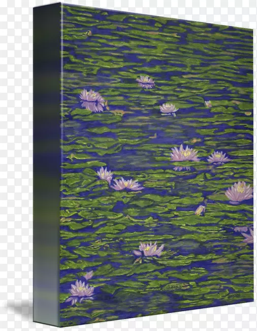 ˯����ˮ�ٺ�-ˮ�ٺ�-������