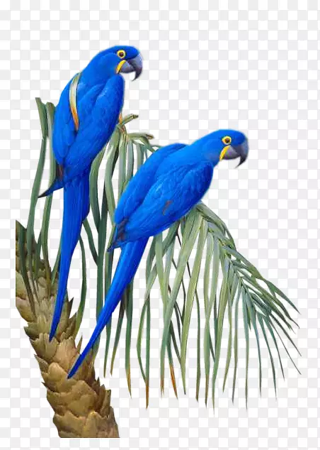 ����������-��-������