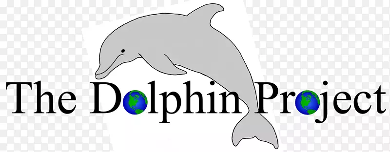 ����ѧԺƤ����ѧԺʯ�������֯-ѧУ-������