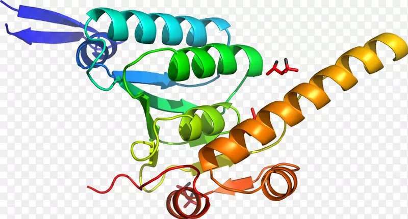 �����鱦���л����������-������