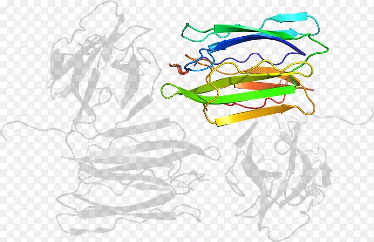 ƽ����Ƽ�����.���-������