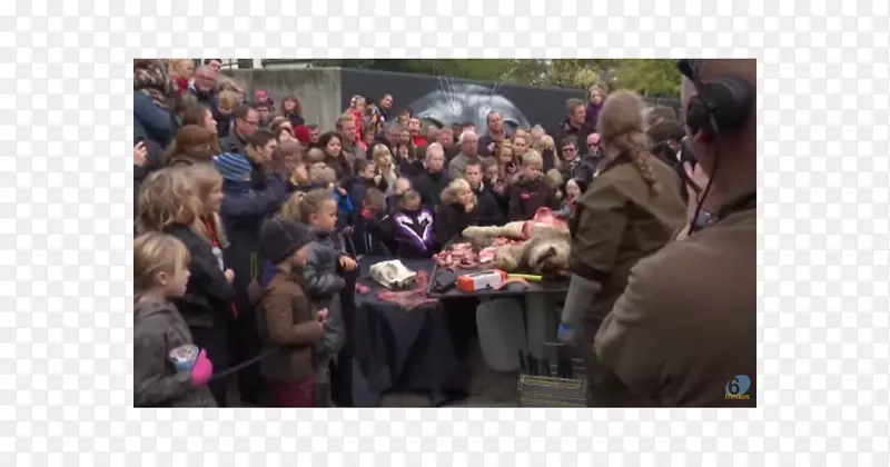 ����-����԰���2����-������