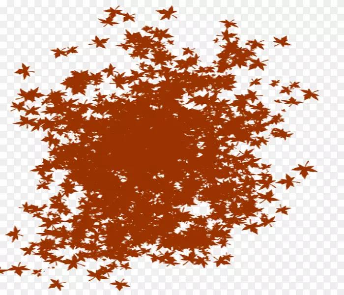 �ߵ��֧��������-������