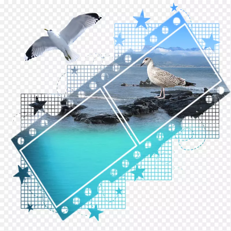 ��Ƭ������ʯ��ӰƬ.��ģ�����˹�Ƭ-������