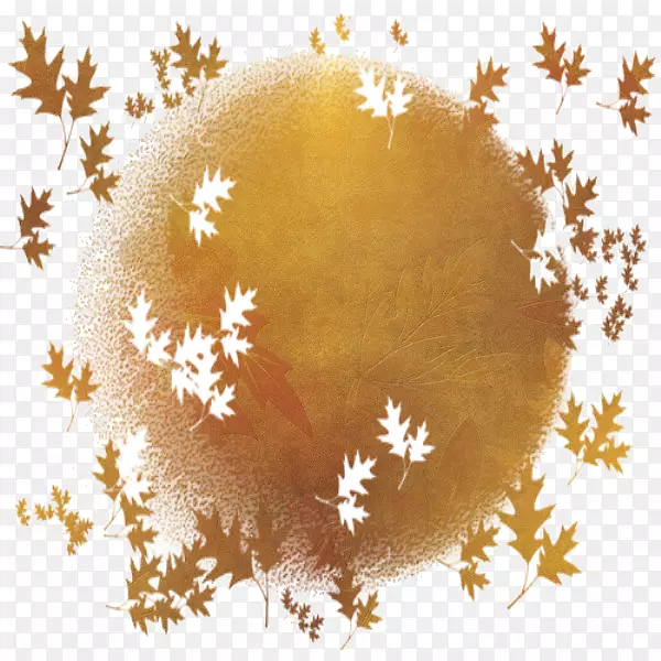 �����ֽ���������plc-����-������