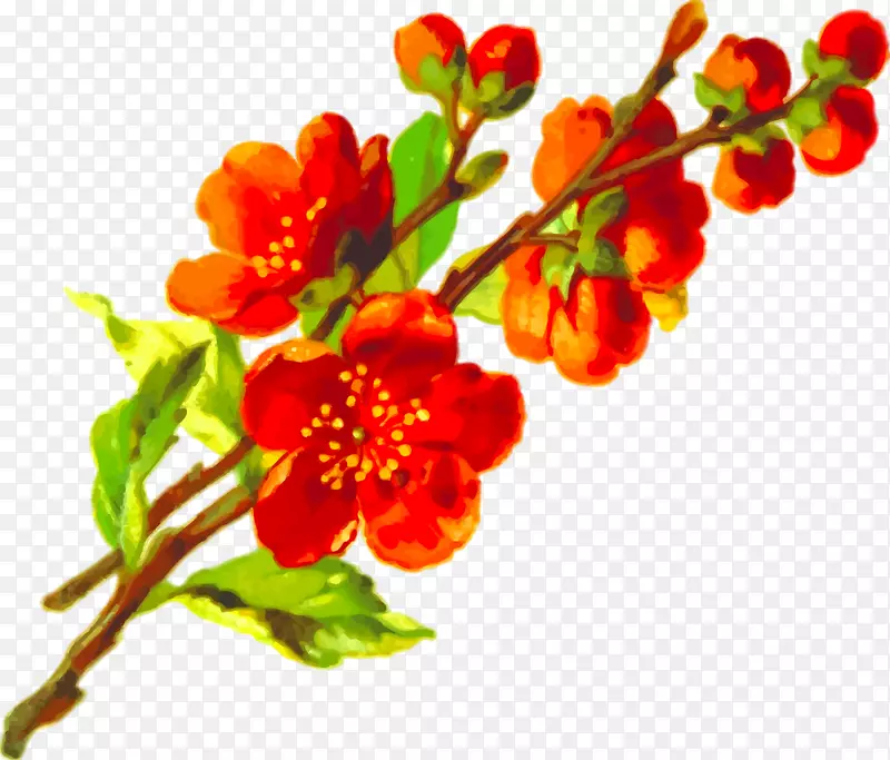 �廭-÷��ˮ�ʻ�-������