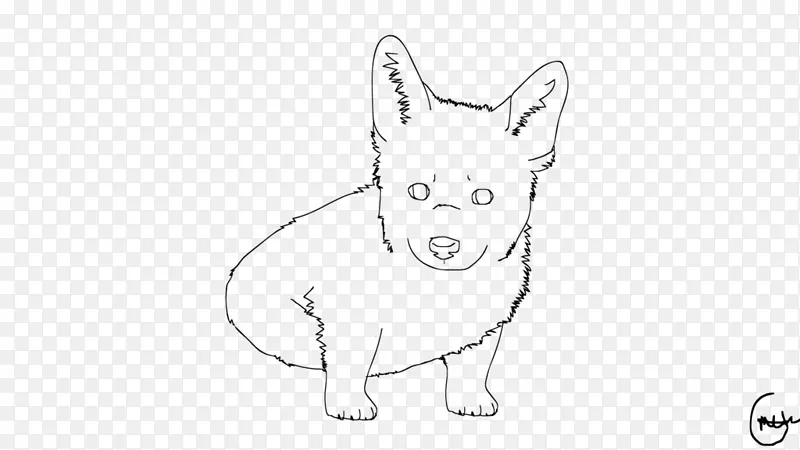 ����è����ֳ����-�»�С��-������