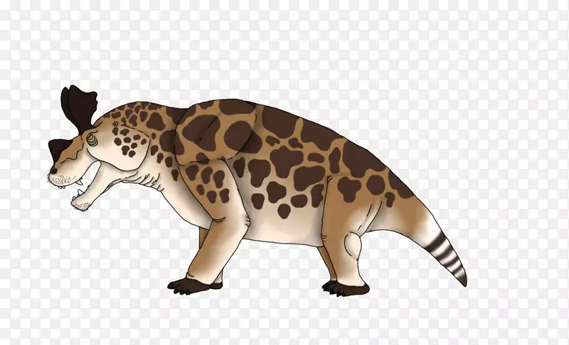 è½������Ұ������-è-������