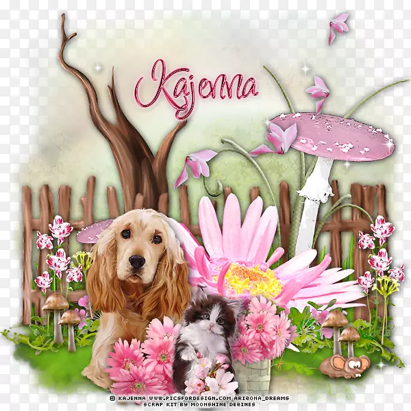 ����ֳС��������ֲ��-С��-������