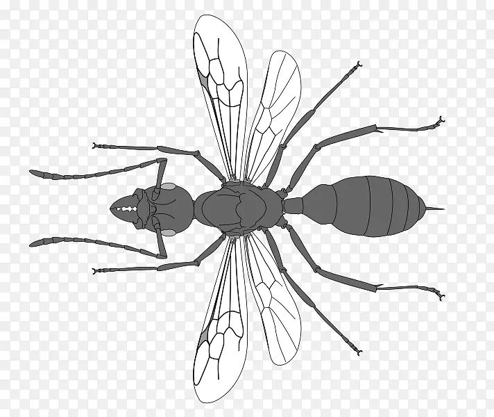 ����������������������������-������