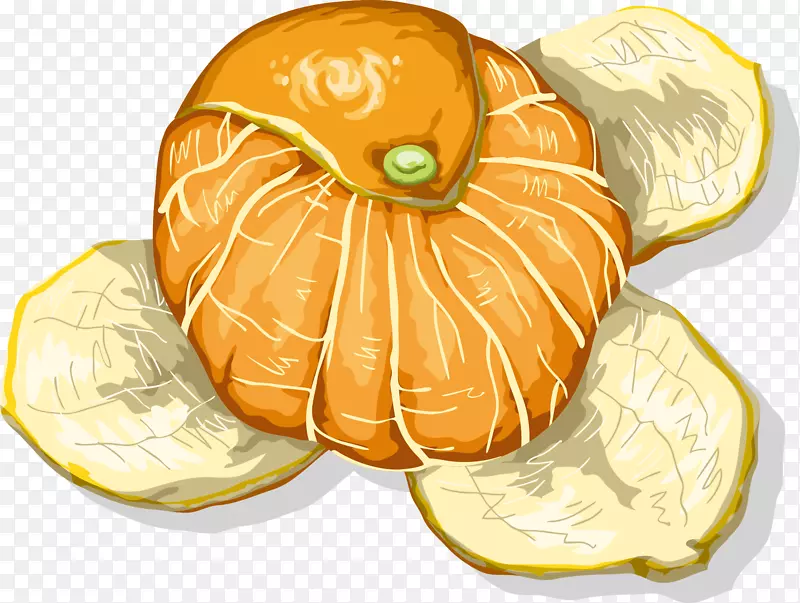 ��ɫ���Ӱ�װ�ͱ�ǩ-��װ��ɫԪ��-������