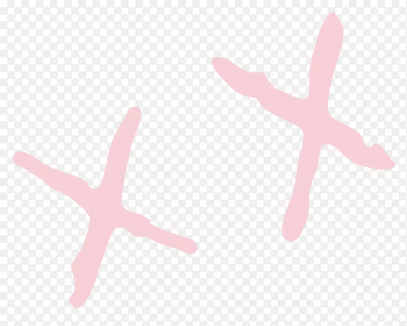 ��ָ���������-������