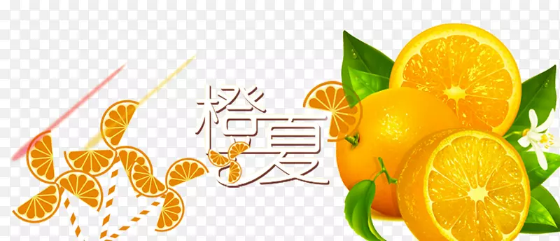 ����-������