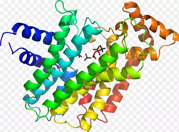 ���������л����߼�������-������