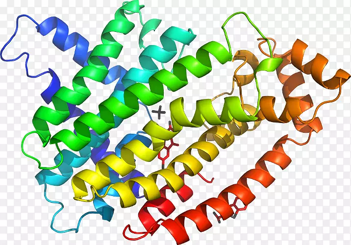 �����鱦���л����������-������