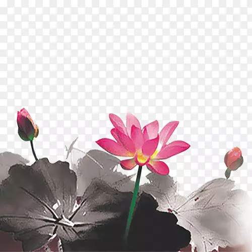 ˮī����ź-������