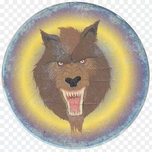 Ȯ�ƶ������-��-������