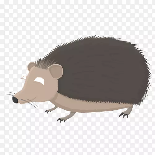 ��ͨ������ӵ�������ϵ-��-������