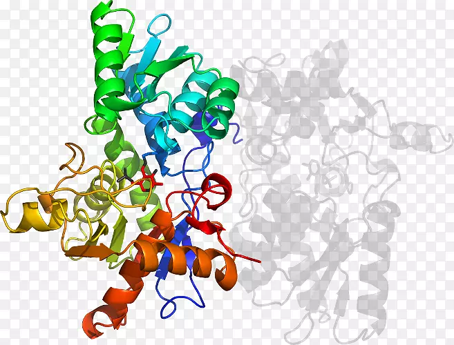 ʳ�����߼�����-��-������