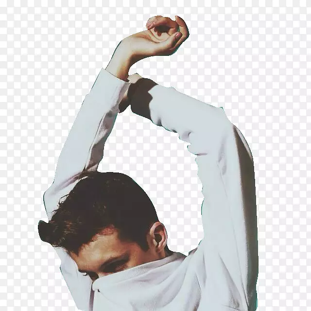 Youtuber VidCon us avatar TRXYE-Troye SivanҰ������-������