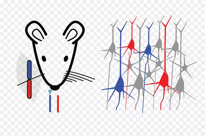 ƽ����ƻ滭���������-������