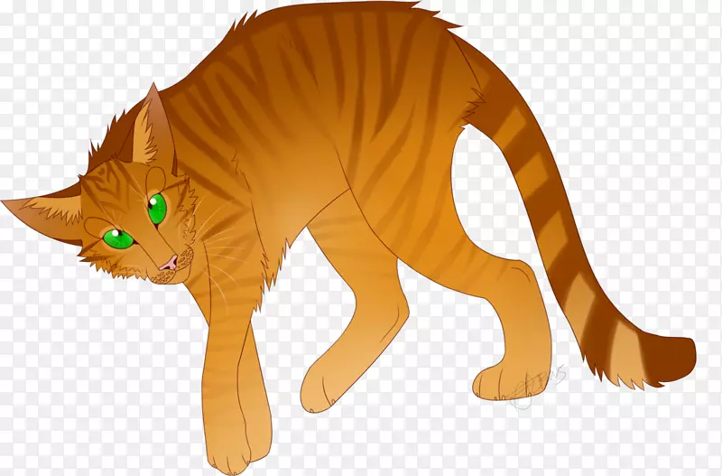 ����è���Ӷ���Ұ������è-������