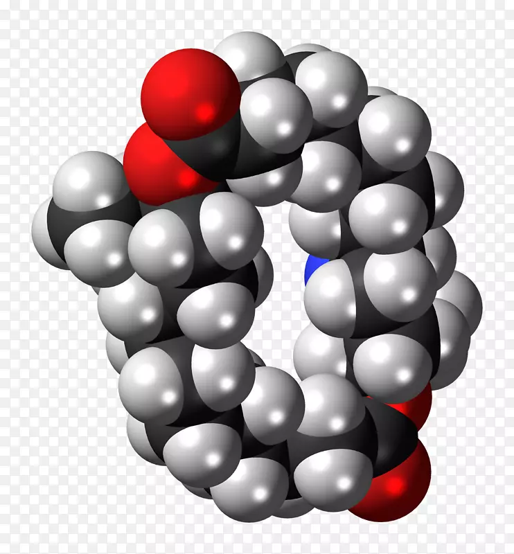 ʥ���ڵ�׺��ˮ��-ʥ����-������