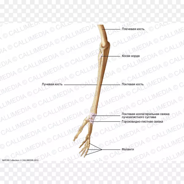 ��ָ�߽�������-������