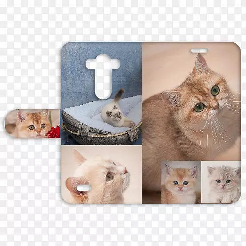 Сè�룬�����ӣ�צ��-Сè-������