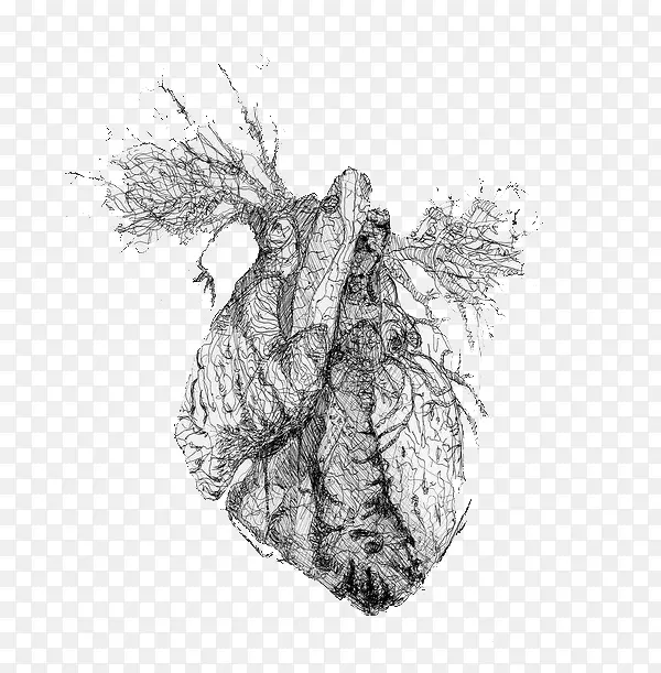 ����Tumblr���಩��-����-������