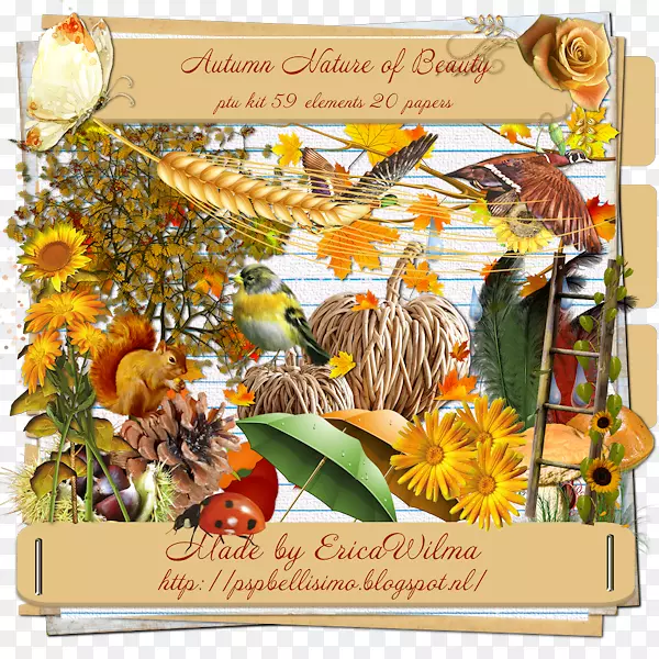 ������ƿ������л�-������