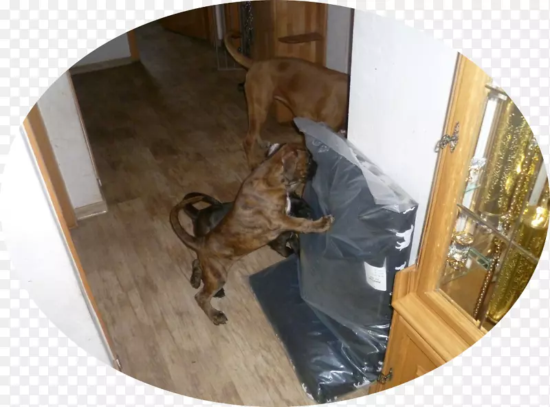 Ȯ��/m/083vt�ӽ�Ȯ-������