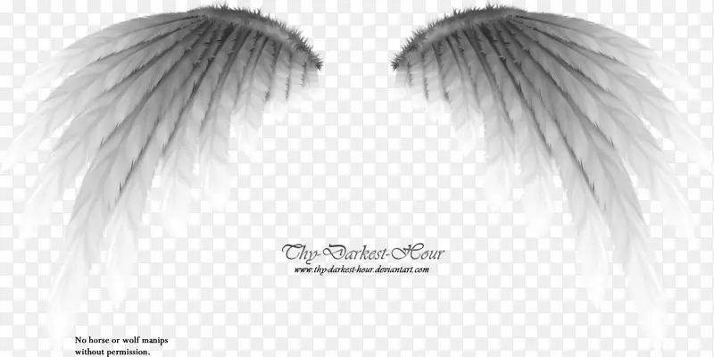 �ڰ׵�ɫ��Ӱ����-�������-������