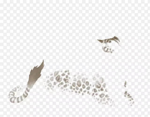 �ڱ���ʨ�ӣ������ױ���è-�ڱ�-������