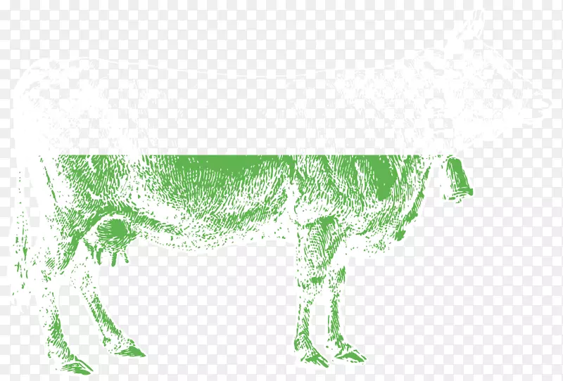 ���Ʋݹ��̲ݵ鹷-������