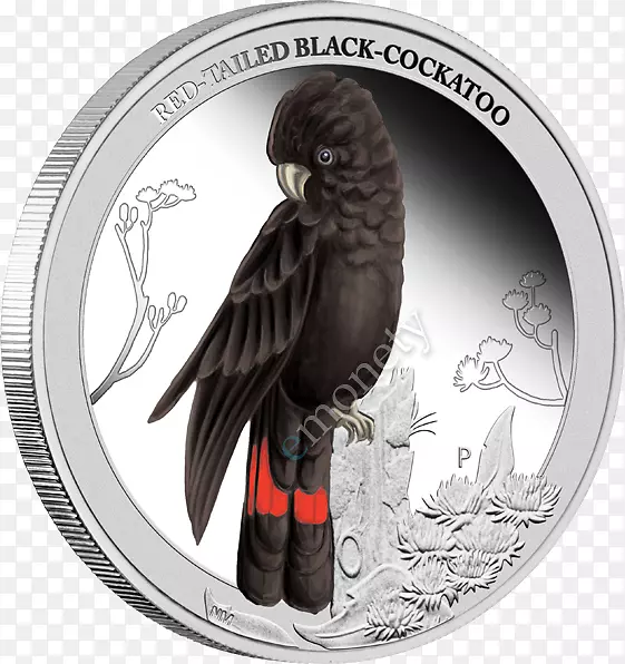 ��˹�������β�����Ļ�β��������-������