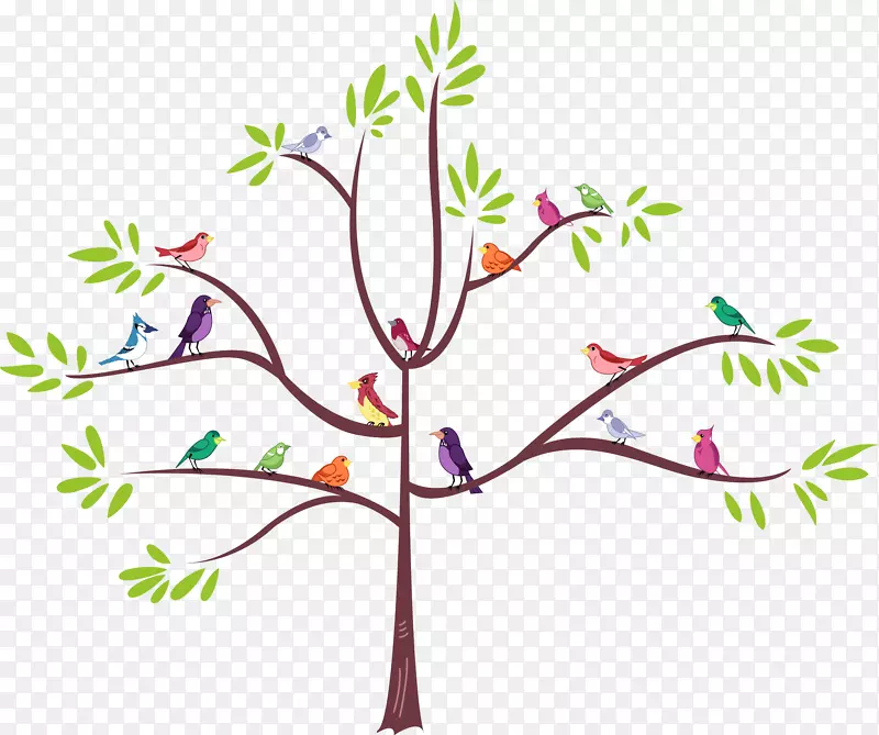 С֦������ƻ���ֲ�����-������