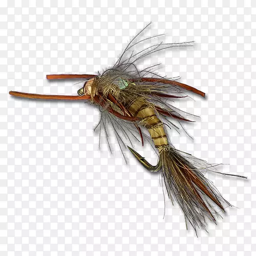 �����˹�Ӭ-������