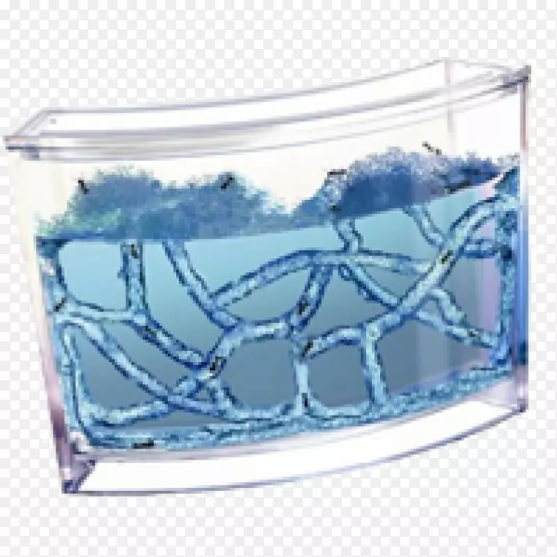 ��Ⱥ����-������