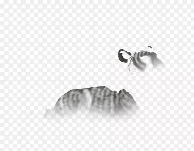 �����鱦����-��-������