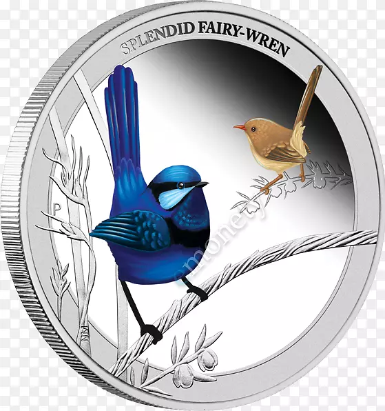 ��˹��������ӥ����������Ů-������