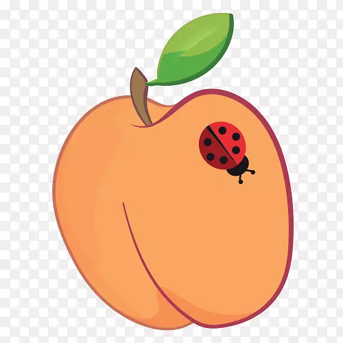 ¬�������ϹϹ�ʵ����-�Ϲ�-������